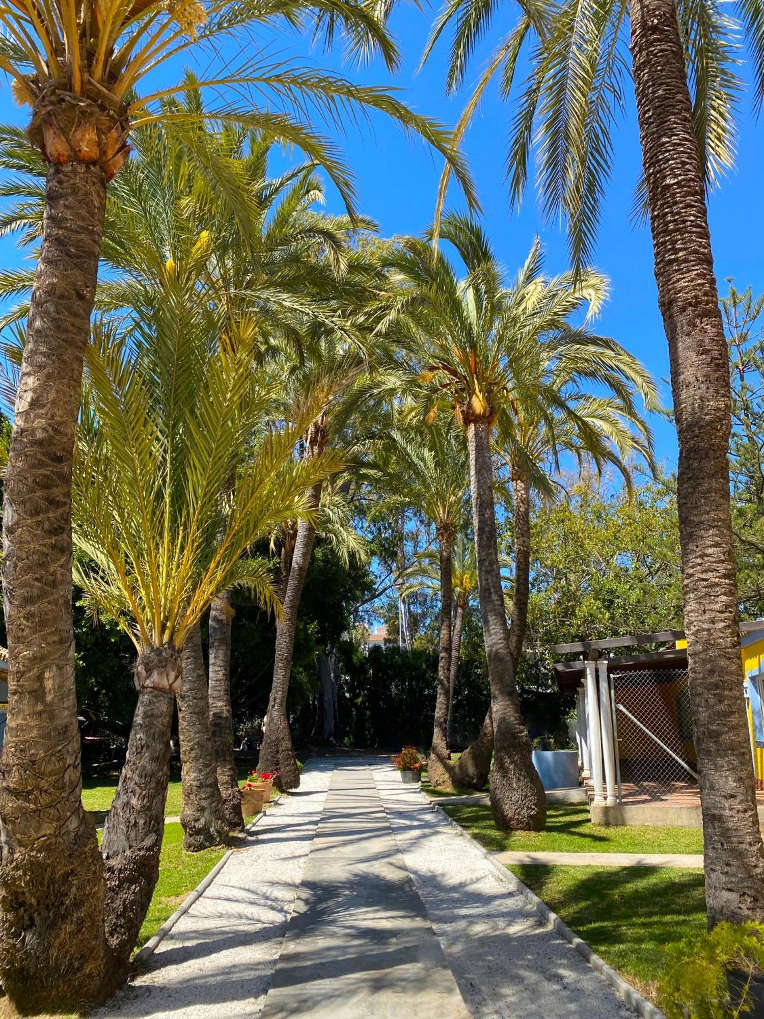 Cortijo La Saleta Banus Apartment Marbella Exterior foto